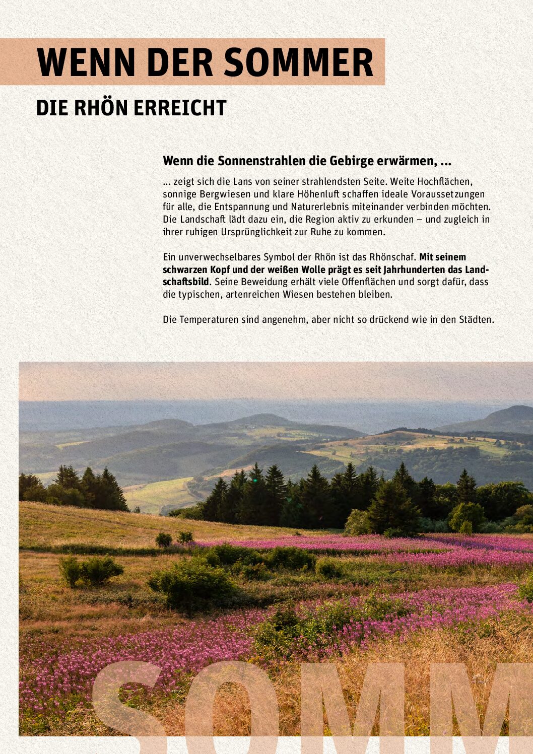 05_kleiner_Dehei!_Broschüre-20